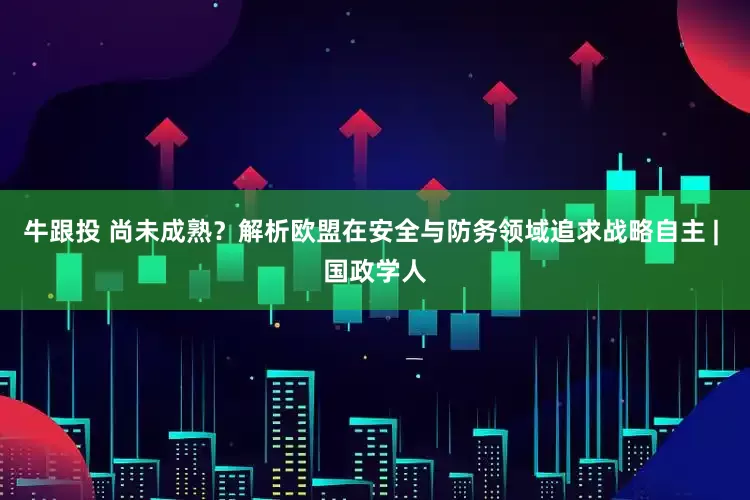 牛跟投 尚未成熟？解析欧盟在安全与防务领域追求战略自主 | 国政学人