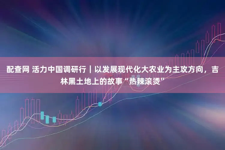 配查网 活力中国调研行｜以发展现代化大农业为主攻方向，吉林黑土地上的故事“热辣滚烫”